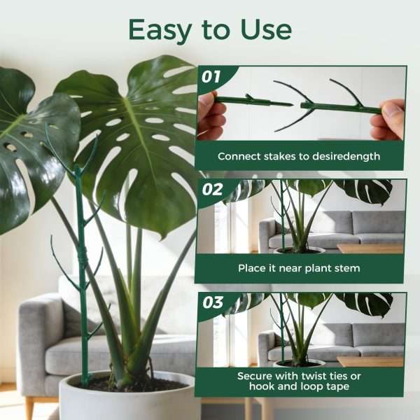 tep-by-step guide to assemble stackable monstera plant support stakes and secure plant stems with ties