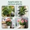 Versatile stackable plant support stakes fit monstera, anthurium, pothos and rose indoor houseplants