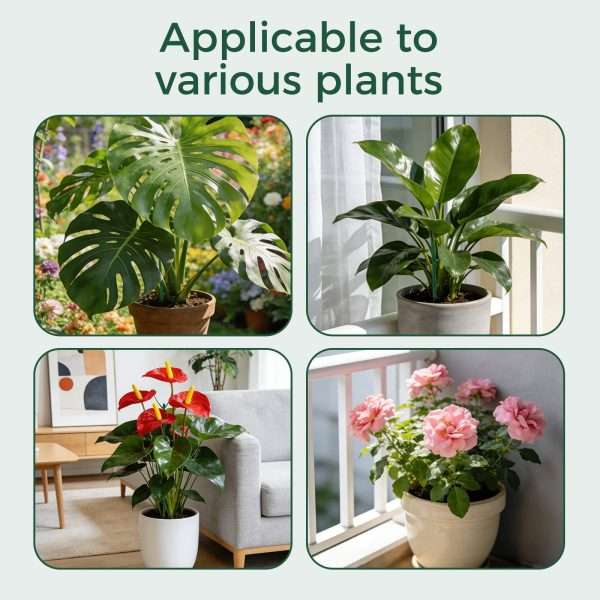 Versatile stackable plant support stakes fit monstera, anthurium, pothos and rose indoor houseplants