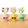 Pink yellow green Ceramic Mini Vase Fridge Magnets complete set with matching faux flowers table display